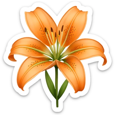 Pale orange lilium sticker