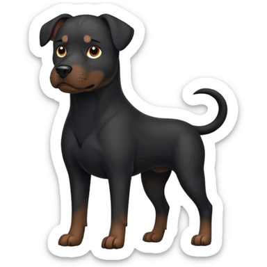 black bullherder dog sticker