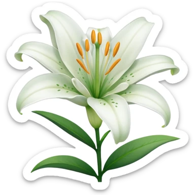 White lilyum flower sticker