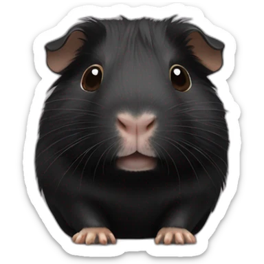 Black Guinea pig sticker