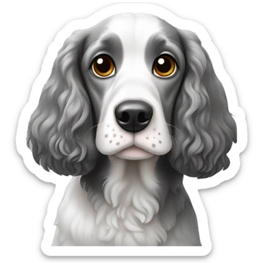 coker spaniel black,white,grey sticker