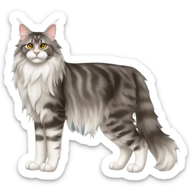 Maine Coon Cat Breed Full Body sticker