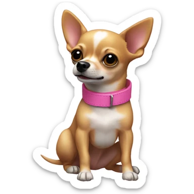 A gold/brown colored chihuahua with a black nose panting, wagging its tail and wearing a pink collar sticker