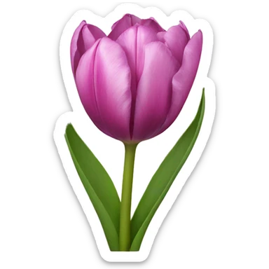 Tulipan sticker