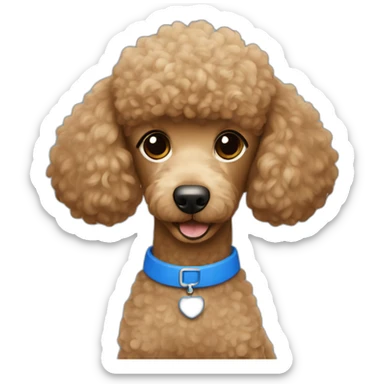 Light brown poodle wearing a blue t-shirt with the text U2 sticker