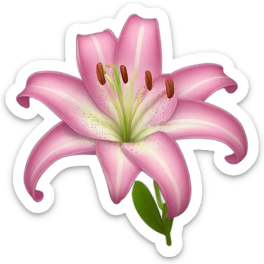 Pink lily sticker