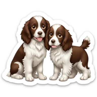 Springer Spaniels  sticker