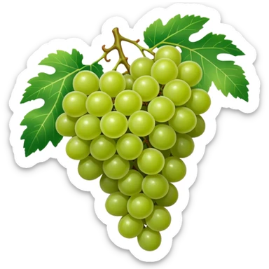 Fruit anggur sticker
