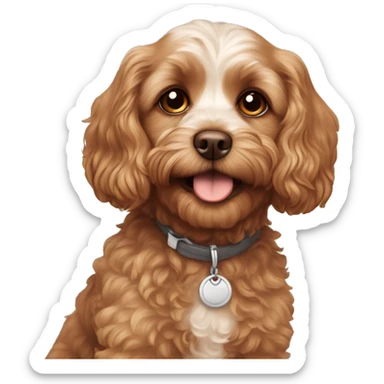 Cavapoo with brown eyes and patches sticker