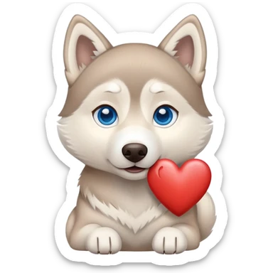 Beige husky with blue eyes holding a brown heart sticker