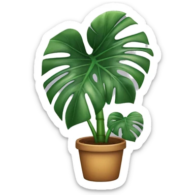 big monstera plant  sticker