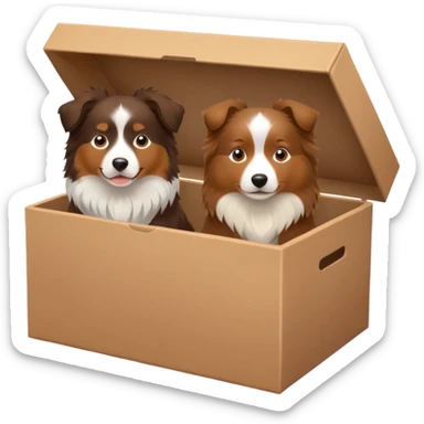 brown Australian shepherd and Shetland sheepdog in box sticker
