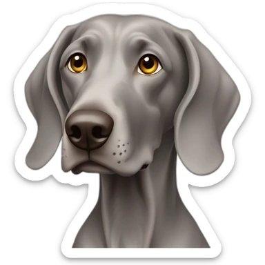 weimaraner agility sticker