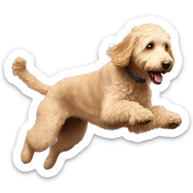 A female labradoodle jumping on a trampoline  sticker