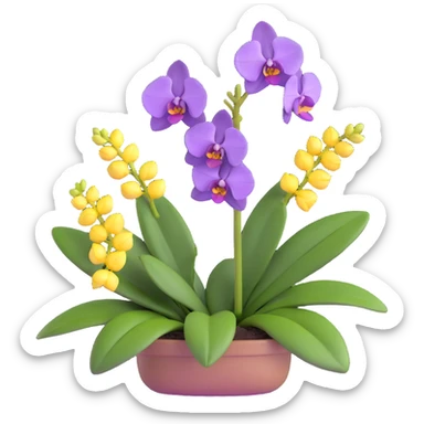 Realistic purple phalaenopsis orchid with rich lavender blooms and prominent large green leaves clearly visible sticker