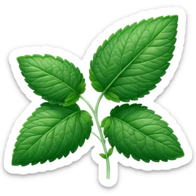 Peppermint (Mentha \(\times \) piperita)  sticker