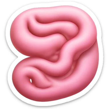 “Realistic image of a human stomach with a curved shape and pinkish color.” sticker