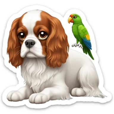 King Charles spaniel with parrot sticker