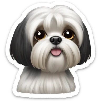 black maltese shihtzu with a cashew sticker