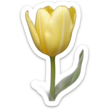 Tulipan sticker
