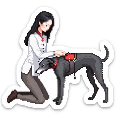 A very beautiful and attractive 25-year-old Japanese woman with long flowing black hair gently petting a SOLID DARK GREY whippet wearing a bright RED COLLAR on a beach at night under a starry sky. The woman's hand is lovingly stroking the whippet. The whippet MUST be COMPLETELY SOLID DARK GREY with ABSOLUTELY NO WHITE MARKINGS ANYWHERE - no white chest, no white face, no white paws, no white tip on tail - ENTIRELY ONE SOLID DARK GREY COLOR throughout the entire dog, but with a distinct red collar. Deep blue night sky filled with bright stars, moonlight reflecting on the ocean, sandy beach in the foreground. sticker