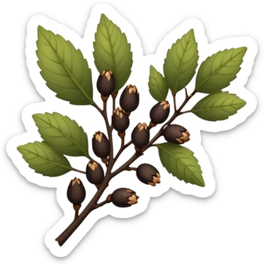 black alder buds sticker