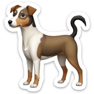 a full body large white parson russell looking dog the size of a kelpie with light brown flapped down ears and a light brown patch on one eye and a large snout sticker