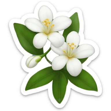 Jasmine flower sticker