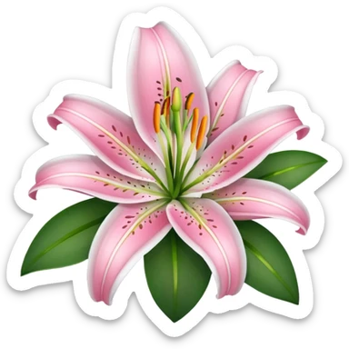 lilies pink & white flower sticker
