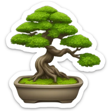 bonsai tree sticker