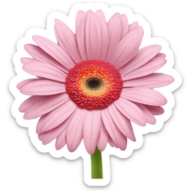 GERBERA ROSA sticker