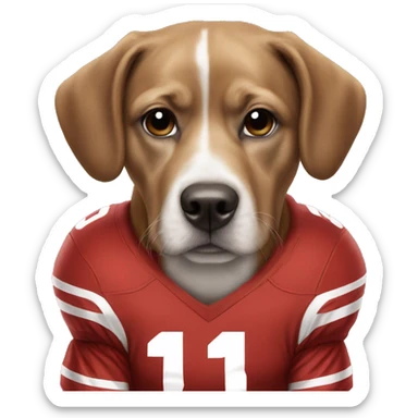 Our dog Buckeye wearing a Taft football uniform sticker