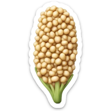 Quinoa sticker