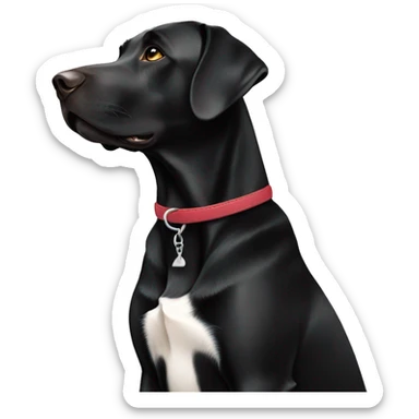Black Labrador with one ear up and one ear down sticker