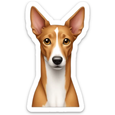 Portuguese podenco dog with long hair sticker
