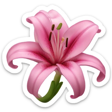 Pink lily sticker
