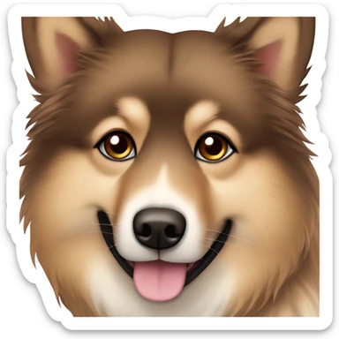 Finnish Lapphund brown. His nose and face is sprinkled with dark brown dots sticker