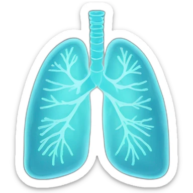 X Ray lungs sticker
