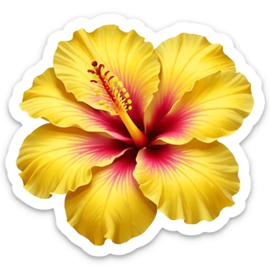 Yellow hibiscus  sticker