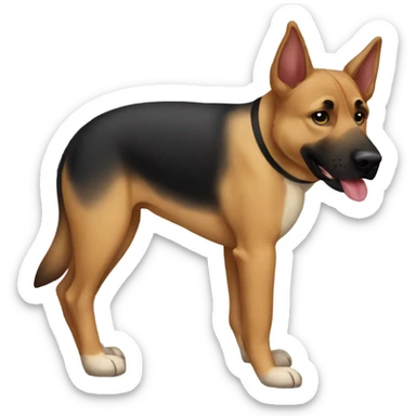 Half German shepherd half pitbull dog  sticker