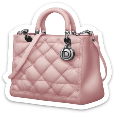 The Dior bag  sticker