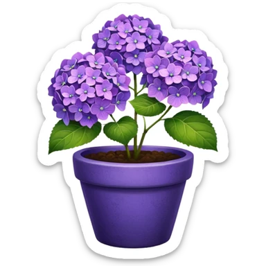 purple hydrangeas flower pot sticker
