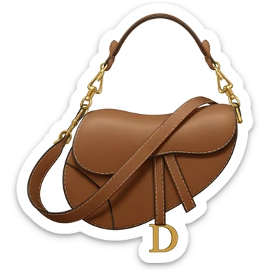 dior saddle bag sticker