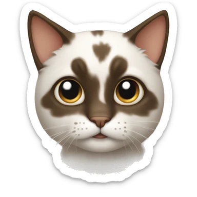 cat with a bown sticker