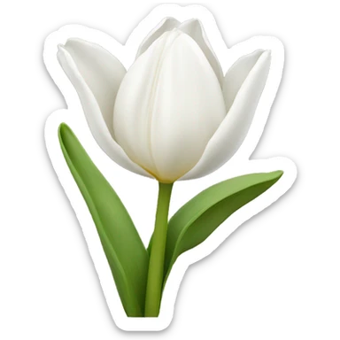 White tulip sticker