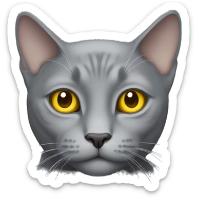 solid gray cat with yellow eyes, no stripes sticker
