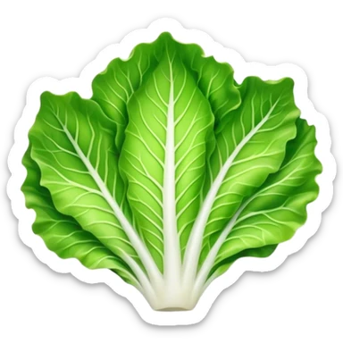single lettuce leaf on a plate sticker