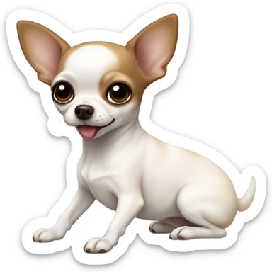 Small White chihuahua within an brown black eyes playing with her smaller sister, a brown and white onein her sticker