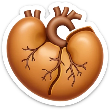 kidney sticker