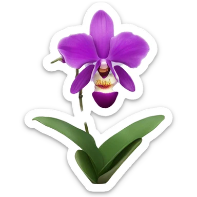Orchid flower  sticker